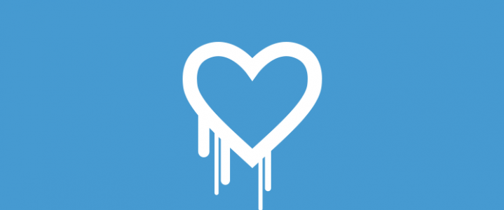 The HeartBleed Bug